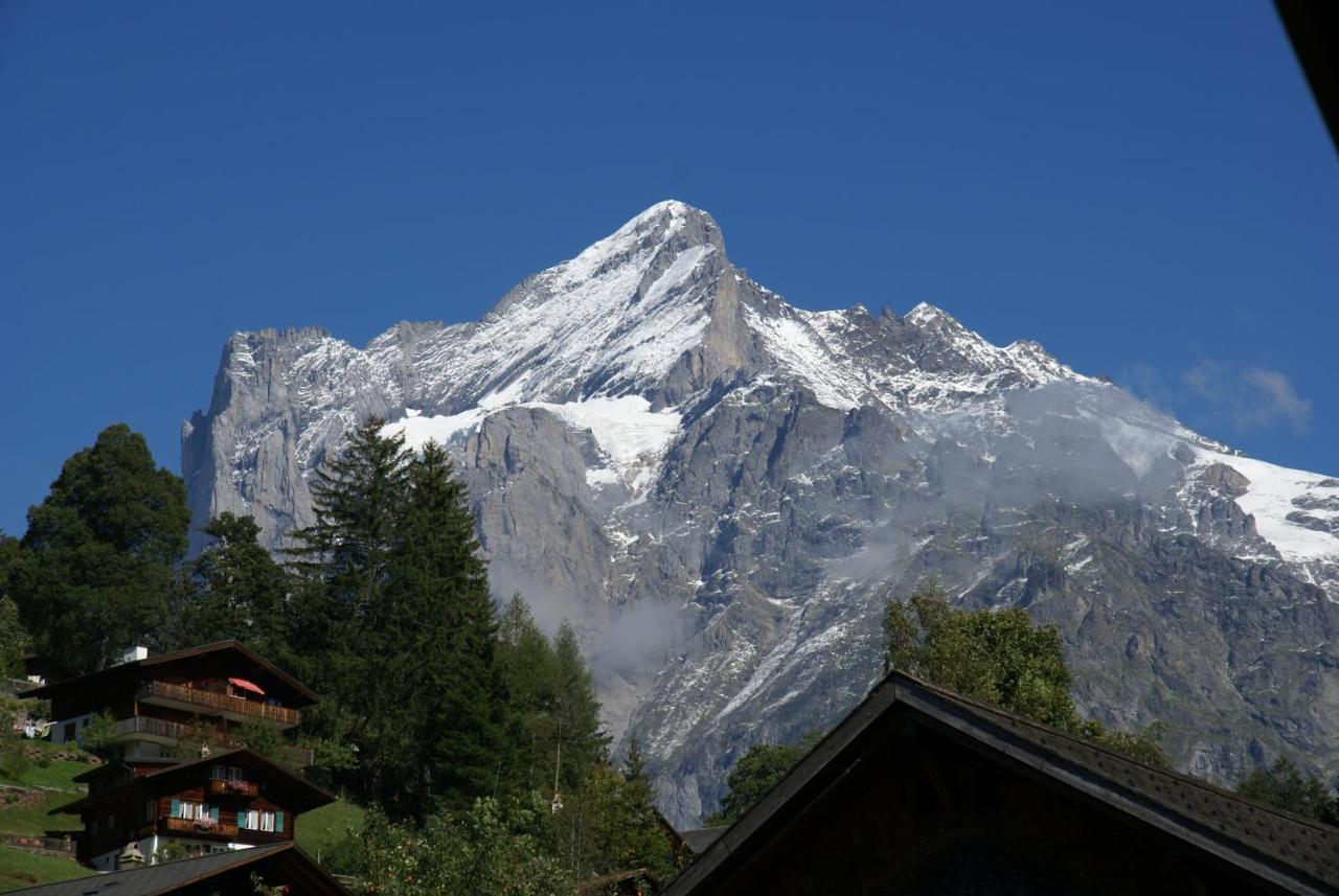 Apartment Baereggblick - Griwa Rent Ag Grindelwald Exterior foto